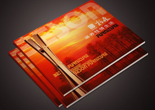 東莞網(wǎng)絡(luò)科技畫冊(cè)印刷 技術(shù)開發(fā)與產(chǎn)品宣傳的專業(yè)載體